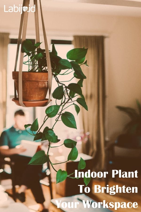 indoor plant workspace